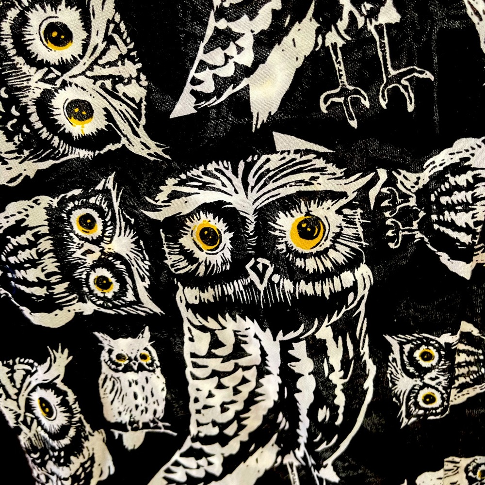 Owls! Short sleeves, button down.